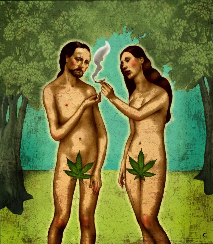 Imagen sin descripción