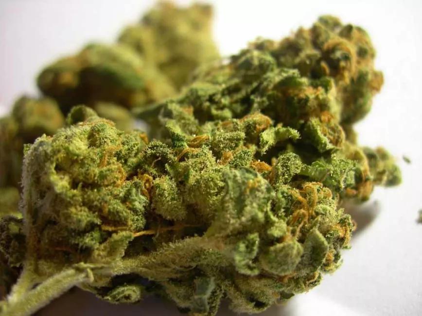 Imagen sin descripción