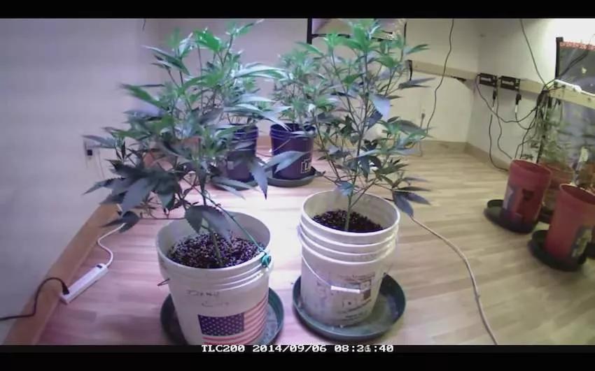 Imagen sin descripción