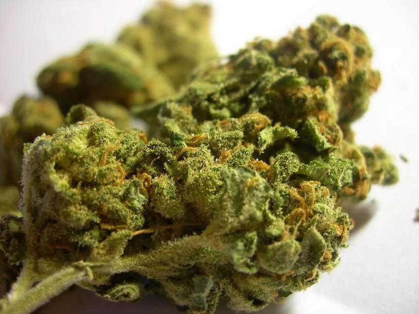 Imagen sin descripción