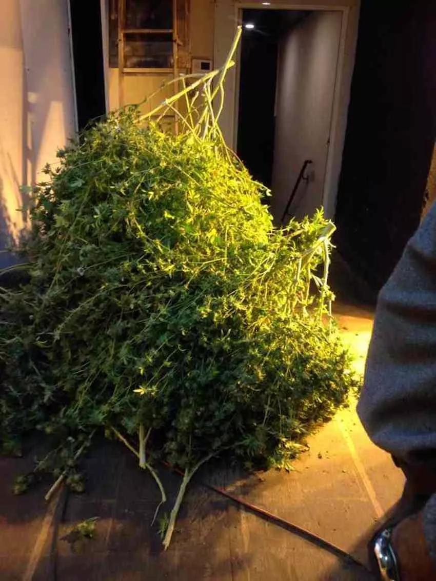 Imagen sin descripción