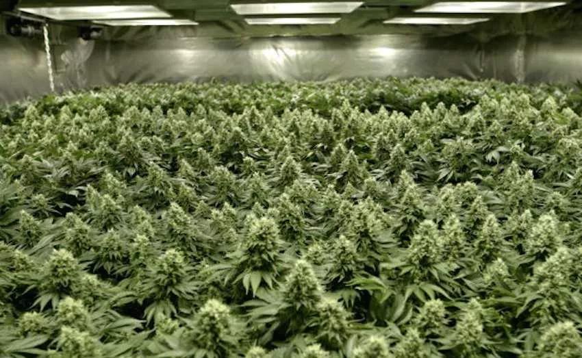 Imagen sin descripción