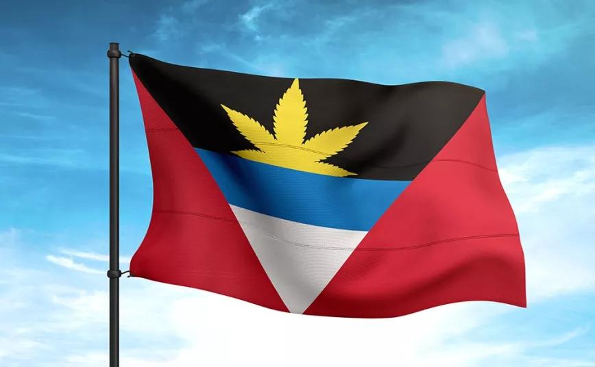 Imagen sin descripción