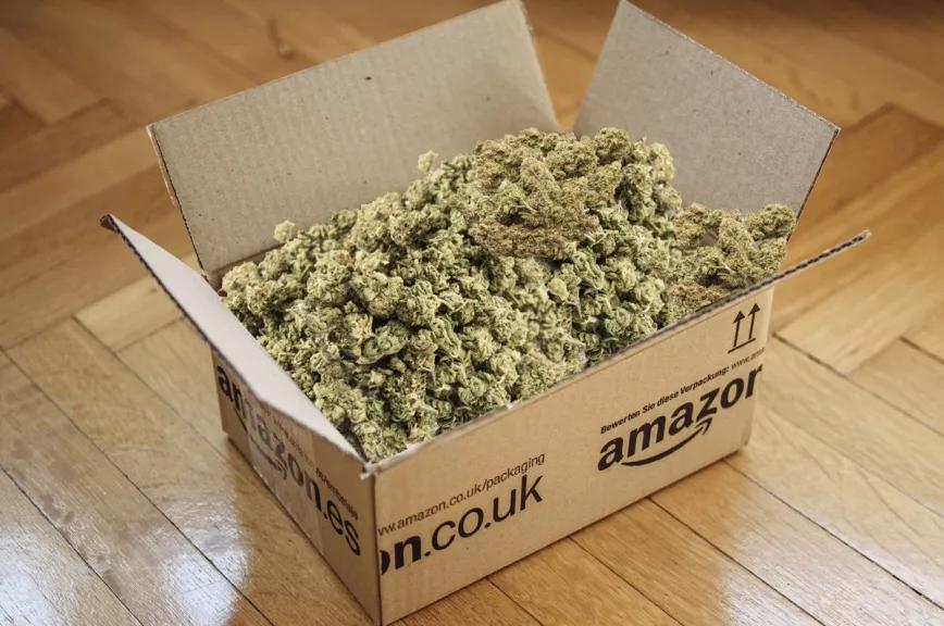 Imagen sin descripción