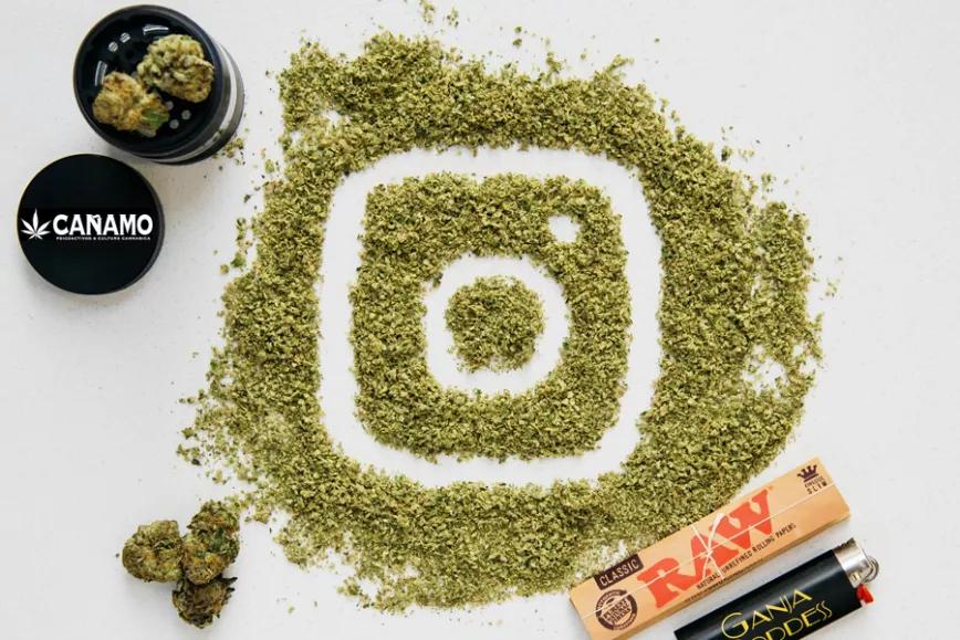 Imagen sin descripción