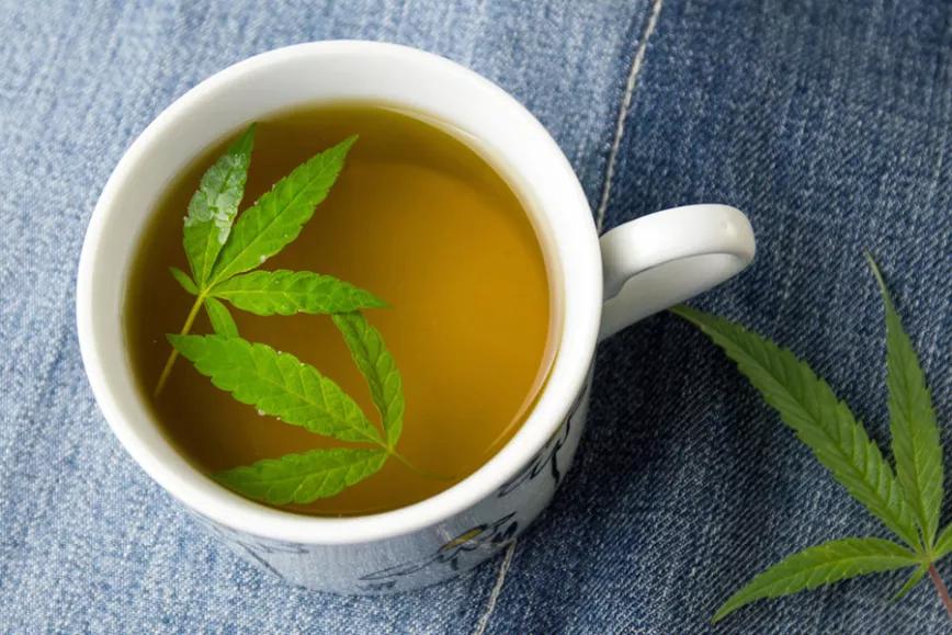 Imagen sin descripción