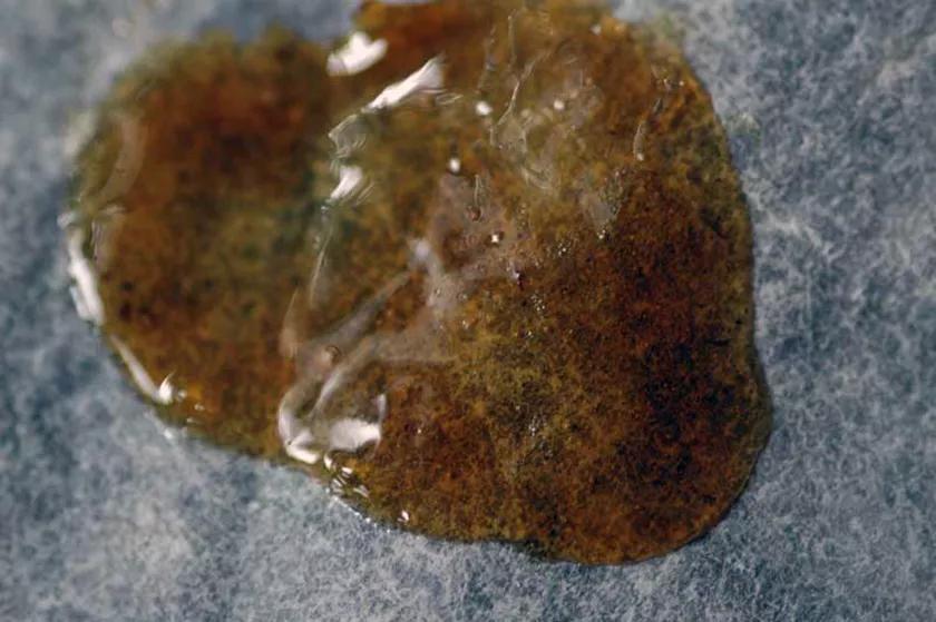 Imagen sin descripción