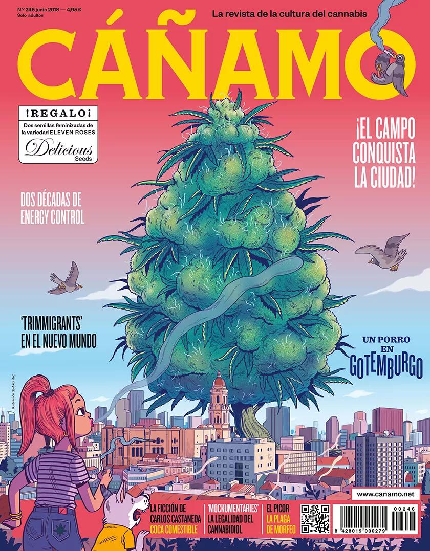 Imagen sin descripción