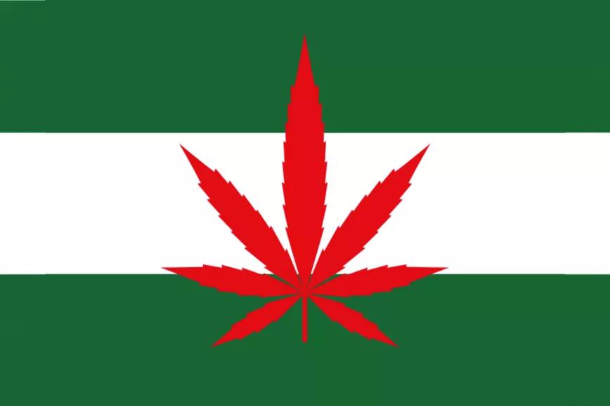 Imagen sin descripción