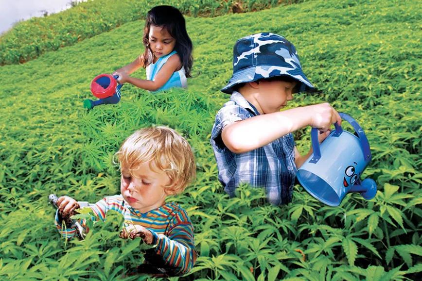 Imagen sin descripción