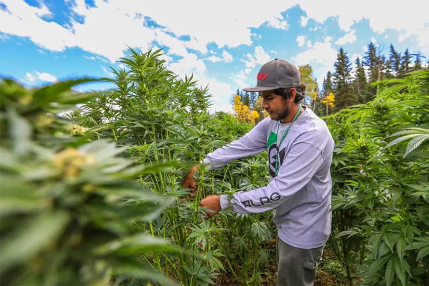 Imagen sin descripción