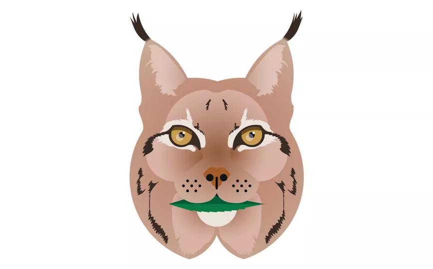 Imagen sin descripción