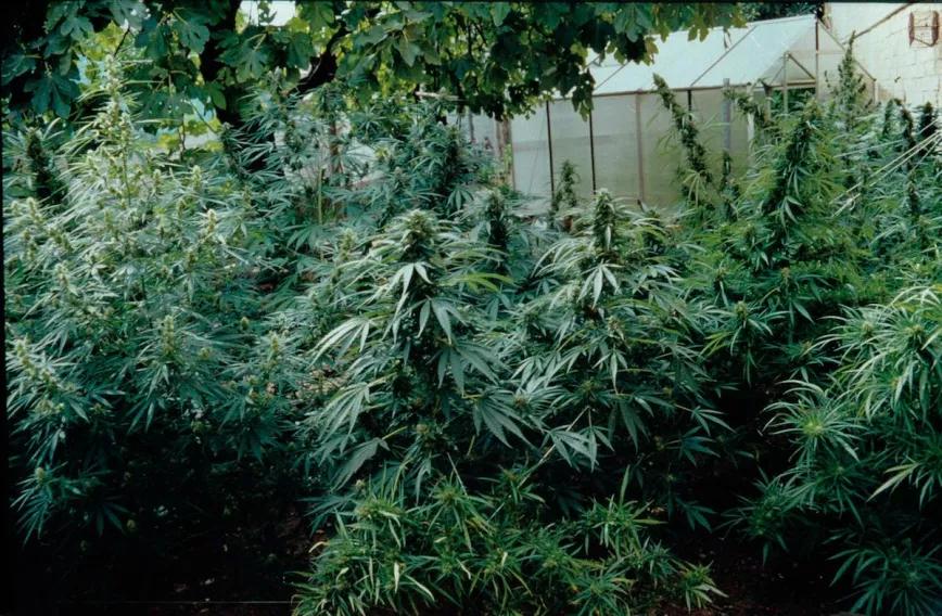 Imagen sin descripción