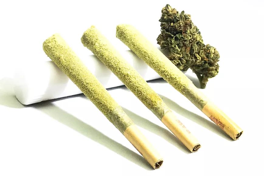 Imagen sin descripción