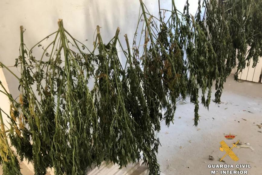 Imagen sin descripción