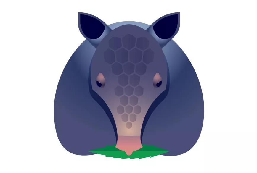 Imagen sin descripción