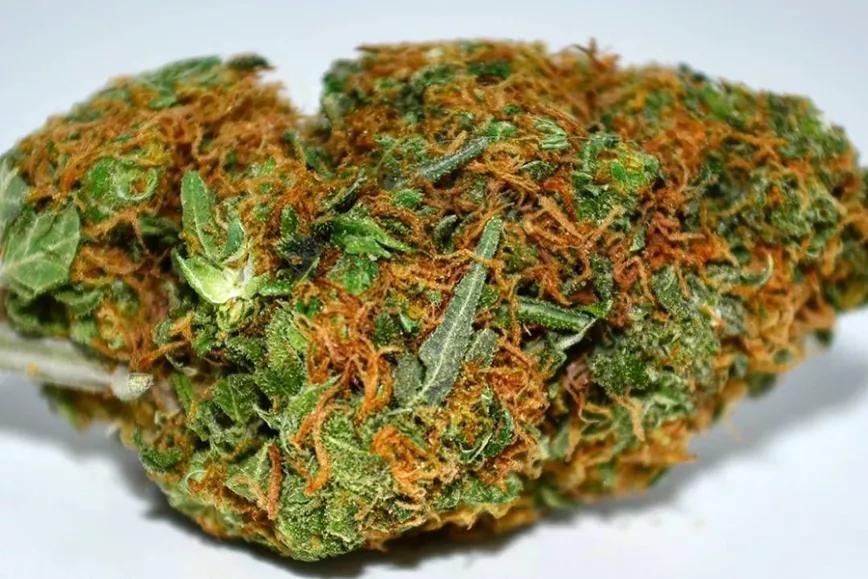 Imagen sin descripción