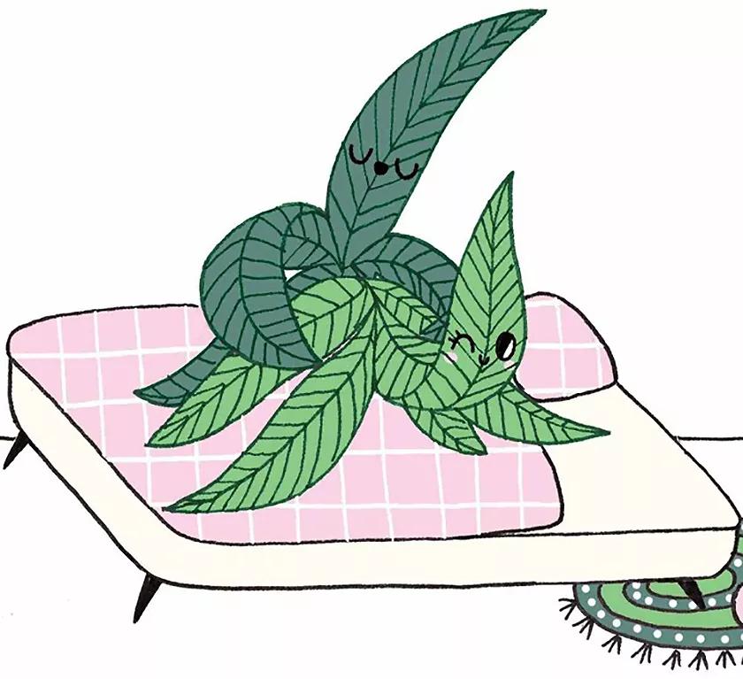 Imagen sin descripción