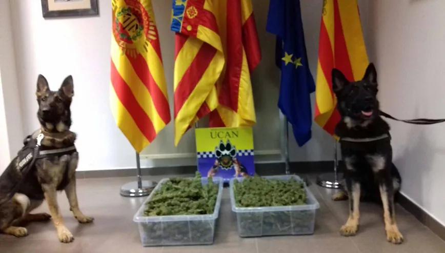 Imagen sin descripción