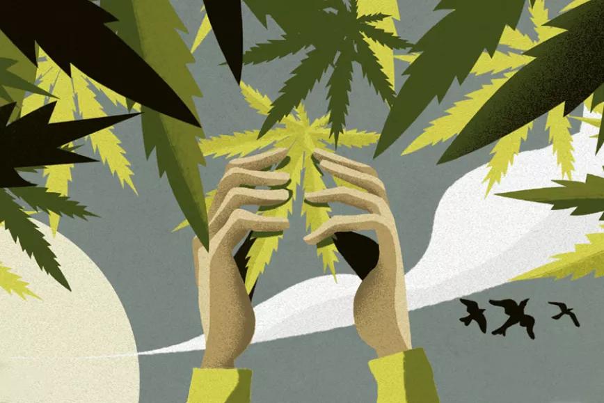 Imagen sin descripción