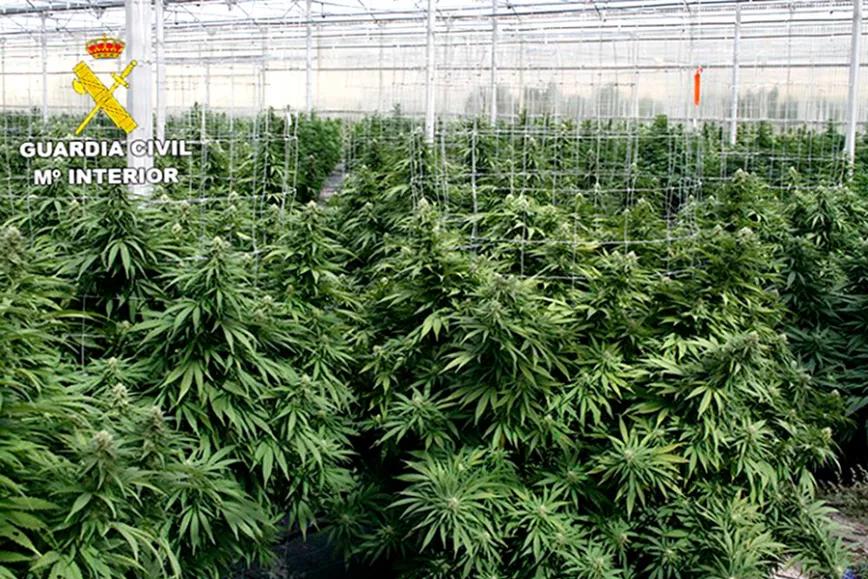 Imagen sin descripción