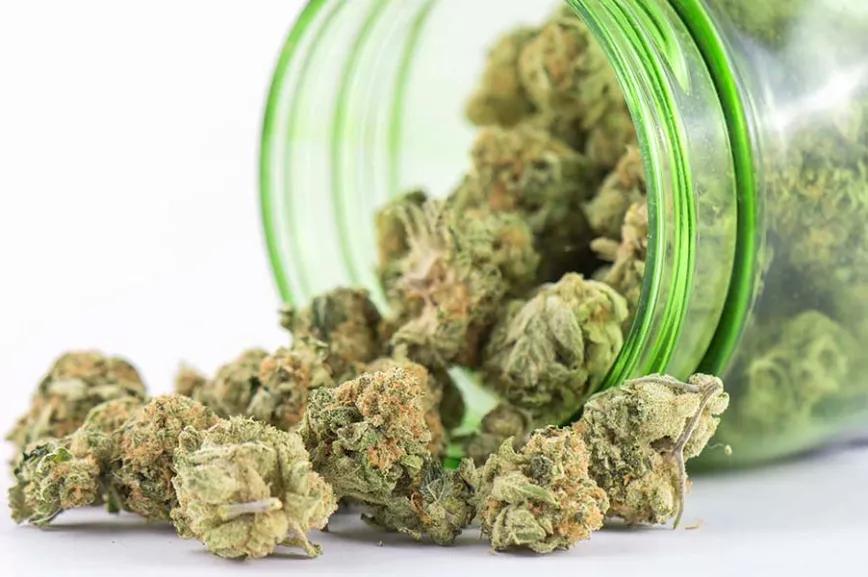 Imagen sin descripción