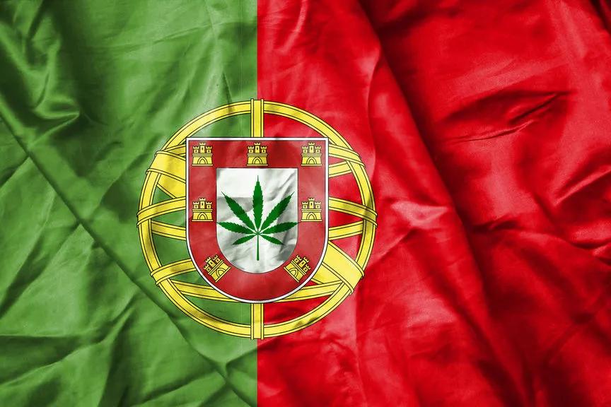 Imagen sin descripción