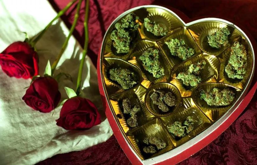 Imagen sin descripción