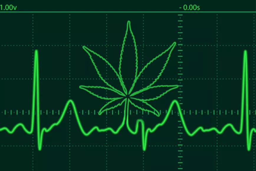 Imagen sin descripción