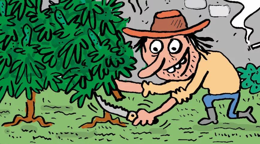 Imagen sin descripción