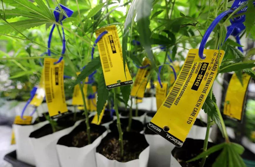 Imagen sin descripción