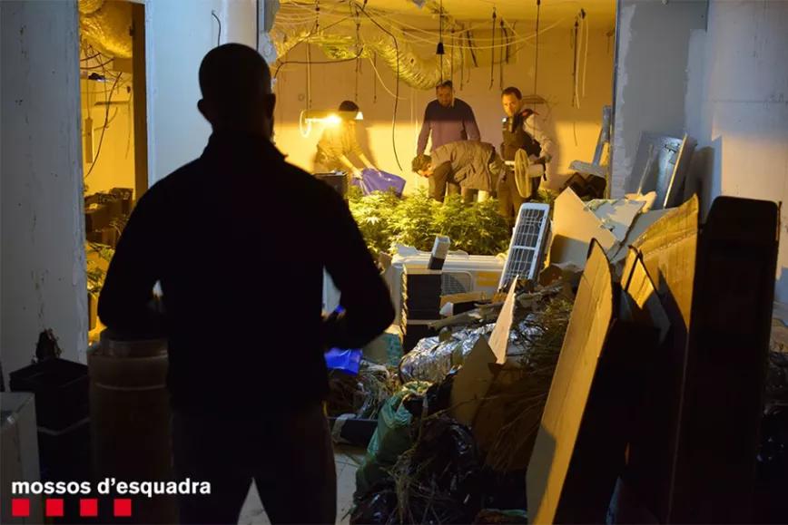 Imagen sin descripción