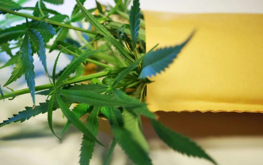 Imagen sin descripción