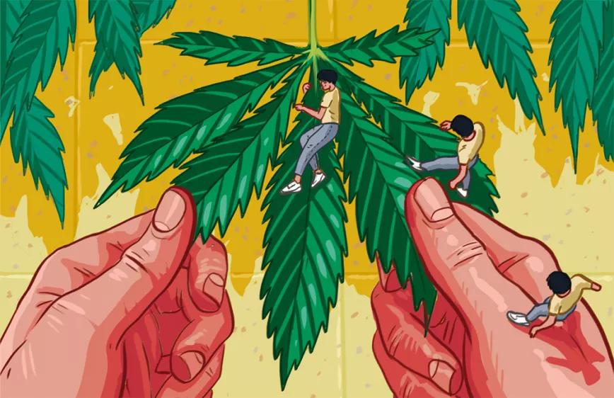 Imagen sin descripción