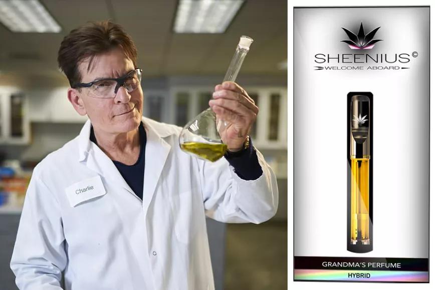 Imagen sin descripción