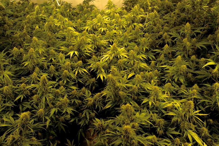 Imagen sin descripción