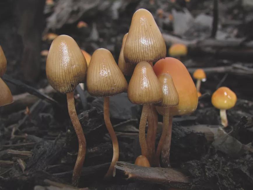 Imagen sin descripción