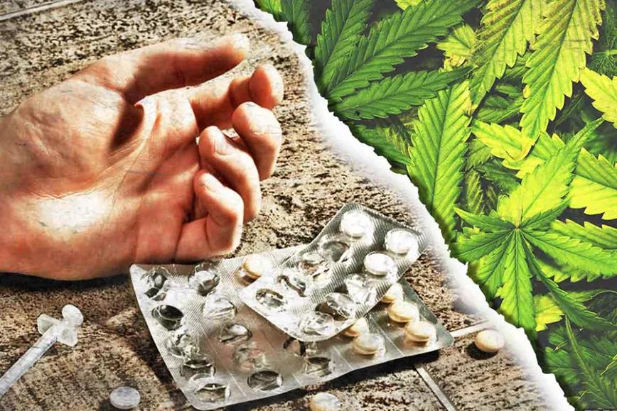 Imagen sin descripción