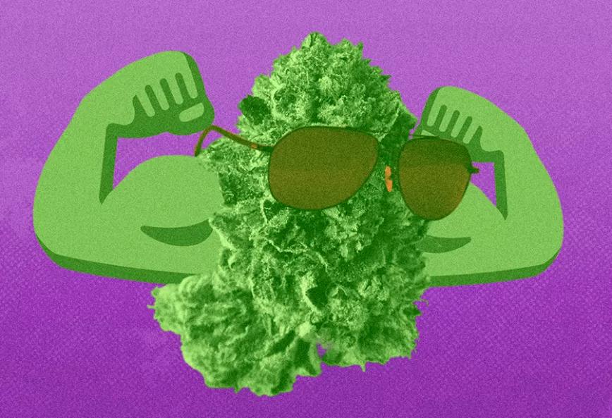 Imagen sin descripción