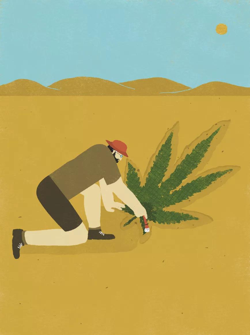 Imagen sin descripción