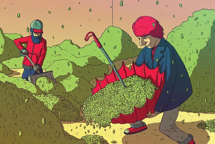 Imagen sin descripción