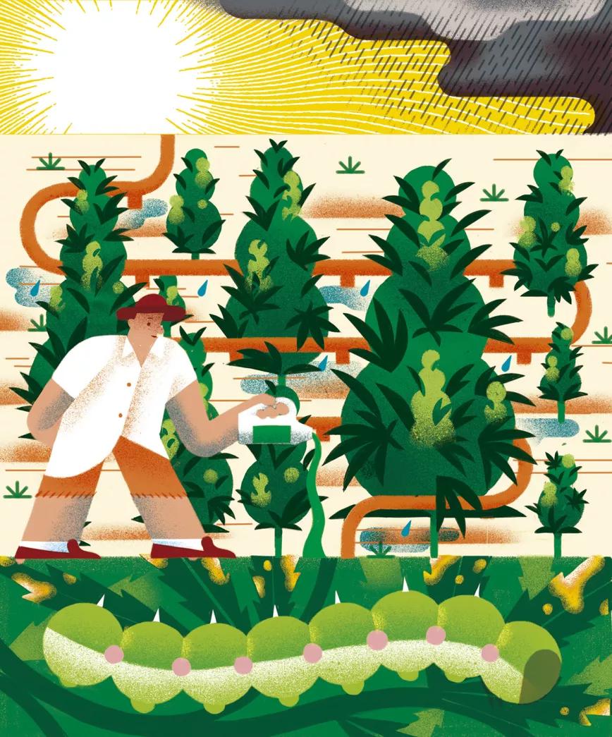 Imagen sin descripción