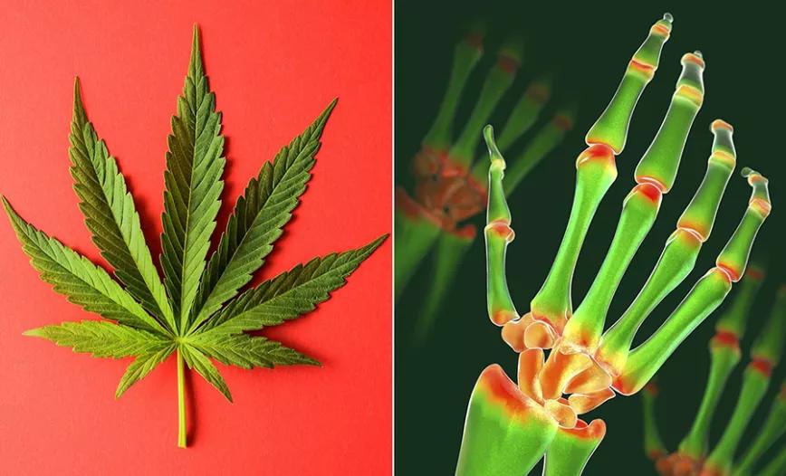 Imagen sin descripción