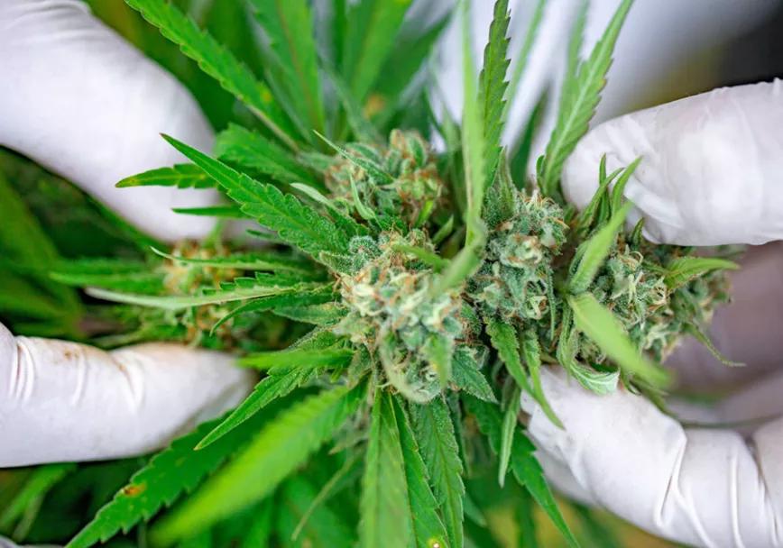 Imagen sin descripción