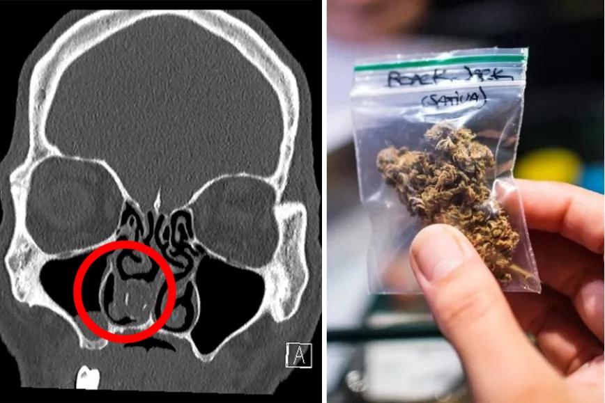 Imagen sin descripción