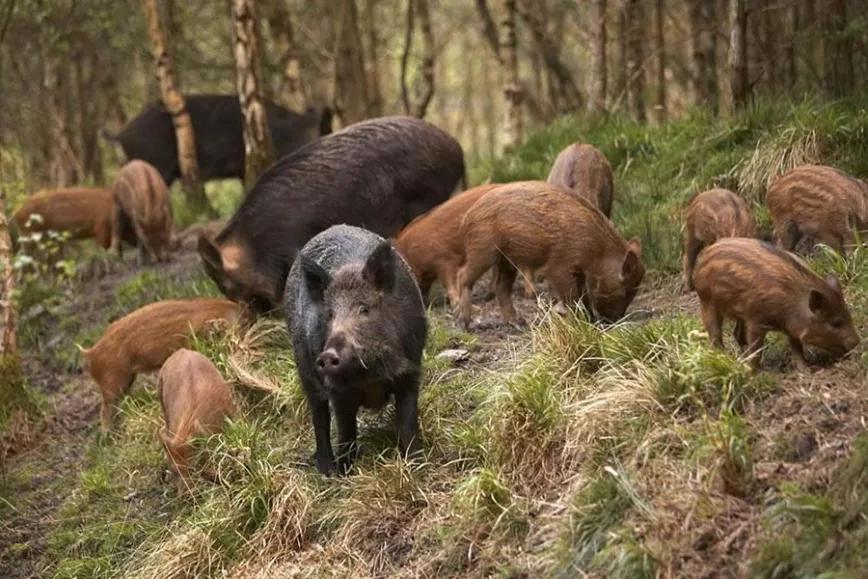 Imagen sin descripción