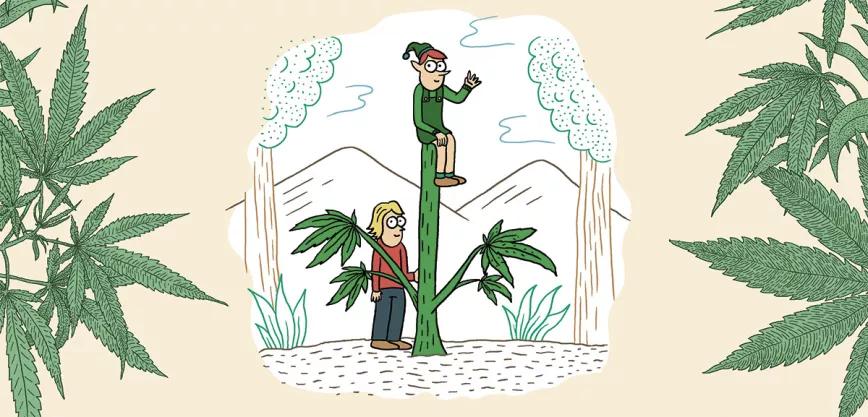 Imagen sin descripción