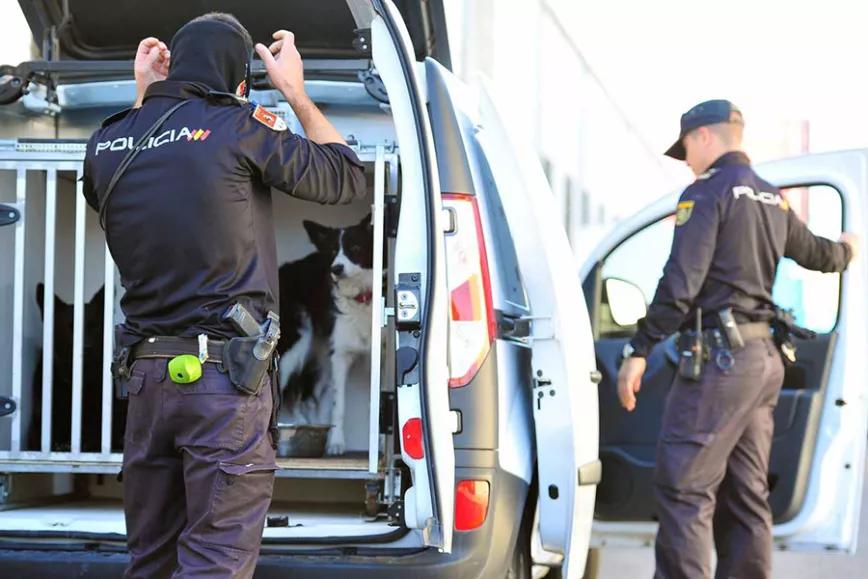 Imagen sin descripción