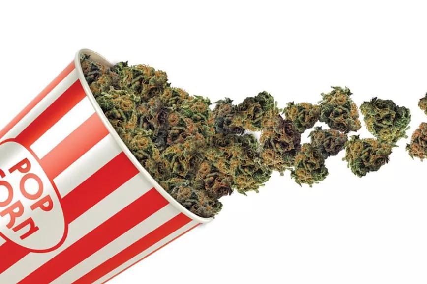 Imagen sin descripción