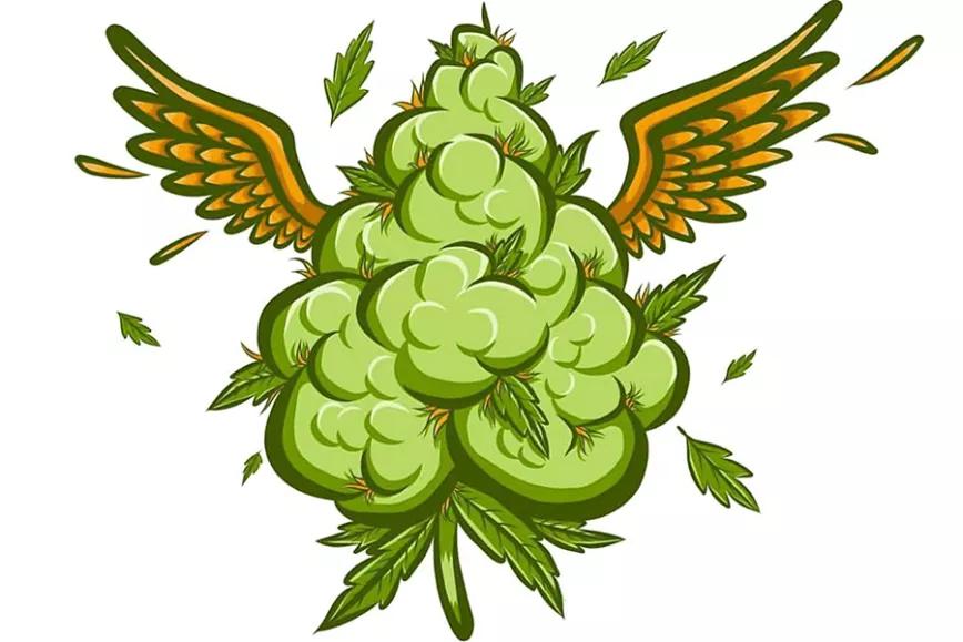 Imagen sin descripción